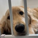 둔덕8길 이미지