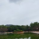 금정체육공원 이미지