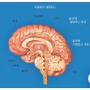 휴한의원 이미지