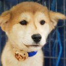 안골로108번길 이미지