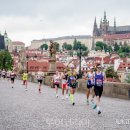 (주)제주국제여행사 이미지
