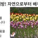 행복을 주는 행정사 이미지