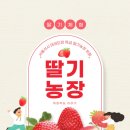 용인대 이레 태권도 이미지