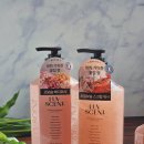 마마센트 | 지속력 좋은 생화향 럽센트 플라워마켓 스크럽, 바디워시, 핸드워시 일주일간 사용해본 후기