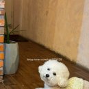 8월 첫째주 순천 맛집, 카페,술집 모음(일상일기)