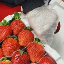 세진농장 이미지