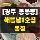 용주초등학교 | 광주 용봉동횟집 해뜰날1호점 본점 후기