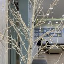 아이언소아청소년과의원 이미지