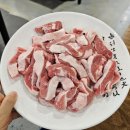 태양생고기 이미지