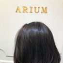아리움헤어 이미지