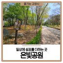 은빛77번길 이미지