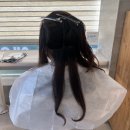하이리퍼브테크 | 기분전환으로 부분탈색 하이라이트 애쉬 투톤염색하기