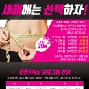 K-1 복싱체육관 이미지