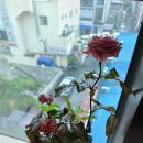 지금여기카페샵 이미지