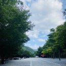 농협하나로마트 복수지점 이미지