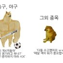 이번 올림픽이 편안하고 재미있는 이유 이미지