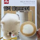 멍푸치노 | 감성 홈카페 완성! 일리 밀크프로터 내돈내산 후기 (ft. 강아지 멍푸치노 만들기)