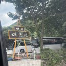 대통령산장 | [가평] 산장대통령 서울 근교 계곡에 발담그고 평상 백숙먹을 수 있는 계곡맛집 추천 찐후기