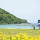 여행뉴스