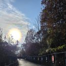 임진각 | 파주가볼만한곳 임진각 평화 곤돌라 후기｜DMZ 전망대 당일치기 코스