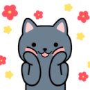 쿤-아일랜드 이미지