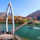 영농조합법인 대운 이미지