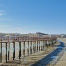 무안황토갯벌랜드 이미지