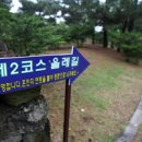 서린치과 이미지