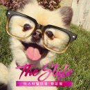 더스타일안경원 이미지