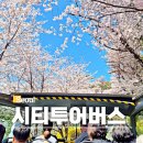㈜한국교통(마을버스) | 국내 뚜벅이 여행 서울시티투어버스 예약 할인 남산 벚꽃 후기