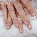 토리네일 - 김해시 | 토리네일