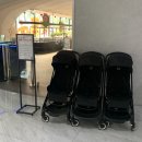 모모댕댕 | 대구 무더운 여름 실내 가볼 만한 곳 신전뮤지엄 이색 체험 후기