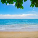 민생 행정사사무소 이미지