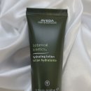 보태니컬 이미지