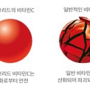 비타브리드스칼프케어 이미지