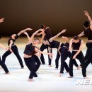 제전악-장미의 잔상 이미지