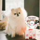 멍멍이발바닥 이미지