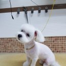 박한준종합동물병원 이미지