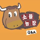 소꼴농장 이미지