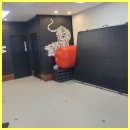 KTIGERS 동탄역관 태권도장 | 동탄태권도 동탄의 진정한 태권도 전문관, K타이거즈동탄역관