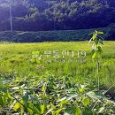 도화리농장 이미지