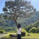 상상 스테이 | 전주근교 완주 두베카페 내돈내산 한옥과 자연에서 힐링한 후기