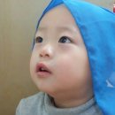 깍까머리 이미지