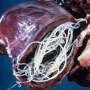 동탄중앙동물병원 이미지