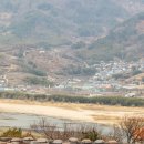 홍매화국수