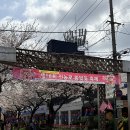 2025년 제18회 전농로 왕벚꽃 축제 첫째 날 후기