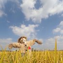 허수아비 이미지