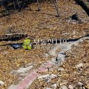 효령로 64 이미지