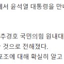 한동훈, 윤 대통령에게 계엄군 '체포조' 항의 이미지