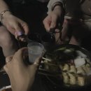 본네트웍스